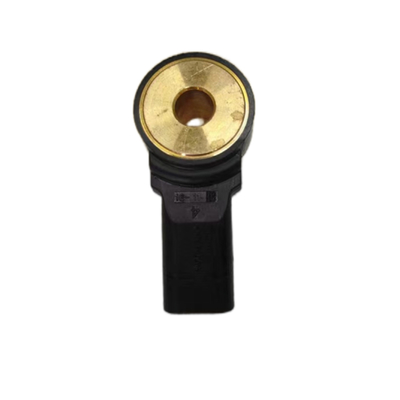 Auto Parts 1.6T Knock Sensor For Peugeot 2008 3008 308S 4008 5008 508 207C 308SW RCZ Citroen C3XR C4L C5 C6 DS5 OE 1920LT