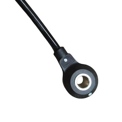 Auto Parts 2.0 Knock Sensor for 3008 307 307CC 307SW 308 407 408 508 C4 C5 SHIJIA Triomphe OE 594634