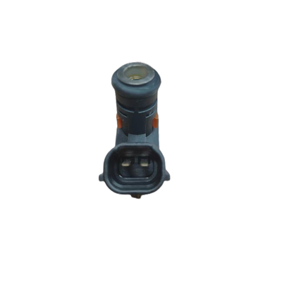 Auto Parts Fuel Injector Fuel Injection Valve Nozzle For Peugeot Citroen EC5 M43 301 T93 OE 9805393380