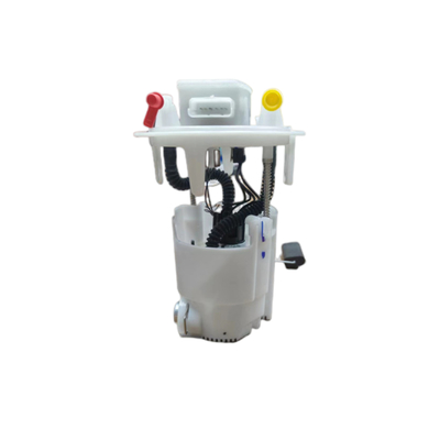 Auto Parts Fuel Pump Assembly For Peugeot Citroen OE 9805932380 9805932480 9821868280 9816844380