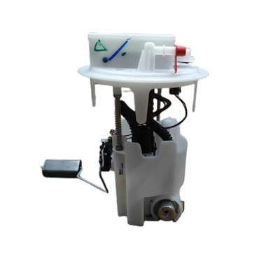 Auto Parts Fuel Pump Assembly For Peugeot Citroen OE 9805932380 9805932480 9821868280 9816844380