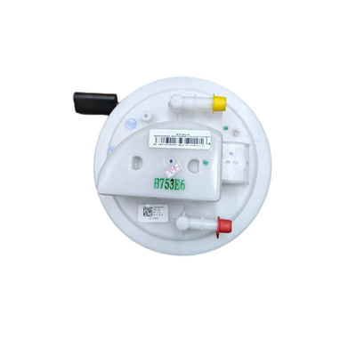 Auto Parts Fuel Pump Assembly For Peugeot Citroen OE 9805932380 9805932480 9821868280 9816844380