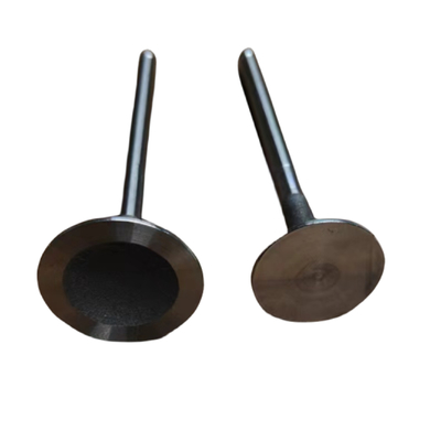 Auto Engine Intake And Exhaust Valves OE 0948G2 094999 For Peugeot 3008 308 408 508 Citroen C5