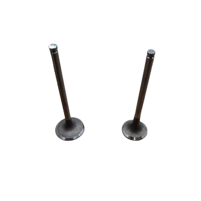 Auto Engine Intake And Exhaust Valves OE 0948G2 094999 For Peugeot 3008 308 408 508 Citroen C5