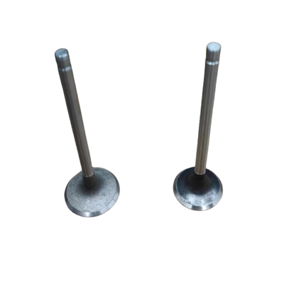 Auto Parts EC8 Engine Intake And Exhaust Valves For Peugeot 408 Citroen C4L OE 9673943580 9673943680