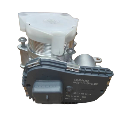 Auto Parts 1.6T Triumph Throttle Body For Peugeot 4008 5008 508L Citroen C6 C4L OE YL00914680