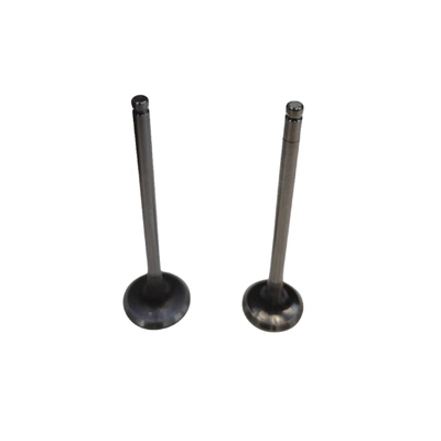 Auto Parts 1.2T Engine Intake And Exhaust Valves For Peugeot 2008 308 408 Citroen C3XR C4L OE 9807292680 9807292780