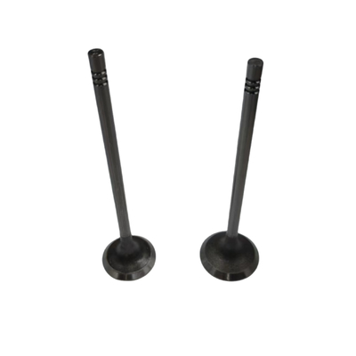Auto Parts 1.6T Engine Intake And Exhaust Valves For Peugeot 3008 207CC 308CC 308SW RCZ Citroen C4 C4L DS5 OE 0948E8 0949E2