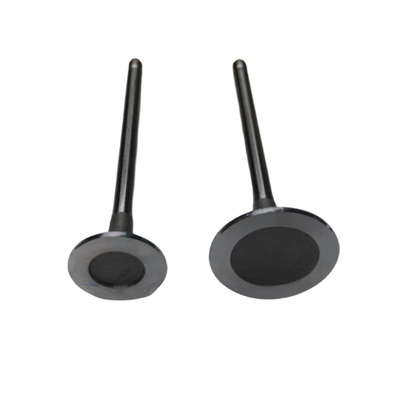 Auto Parts 16V Engine Intake And Exhaust Valves For Peugeot 2008 206 207 307 308 408 Citroen C2 C3 C4 OE 0948A9 0949C5