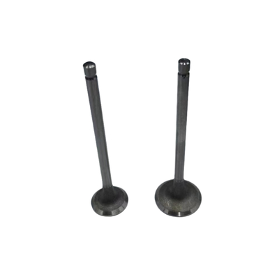 Auto Parts 16V Engine Intake And Exhaust Valves For Peugeot 2008 206 207 307 308 408 Citroen C2 C3 C4 OE 0948A9 0949C5
