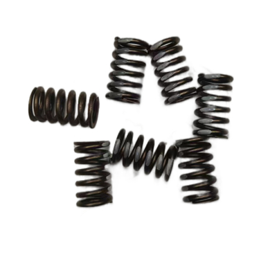 Auto 16V Valve Spring For Peugeot 206 207 307 308 408 Citroen C2 C4 OE 0952A9 095297 1204504