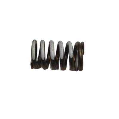 Auto 16V Valve Spring For Peugeot 206 207 307 308 408 Citroen C2 C4 OE 0952A9 095297 1204504