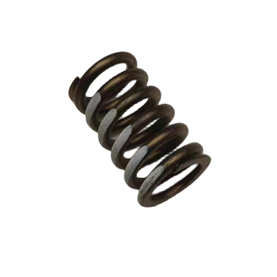 Auto 16V Valve Spring For Peugeot 206 207 307 308 408 Citroen C2 C4 OE 0952A9 095297 1204504