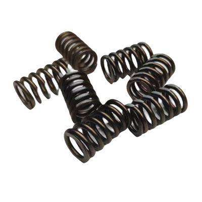 Auto 16V Valve Spring For Peugeot 206 207 307 308 408 Citroen C2 C4 OE 0952A9 095297 1204504