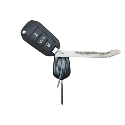 Auto Parts M43 Car Lock For PEUGEOT CITROEN Elysee OE 9809199780