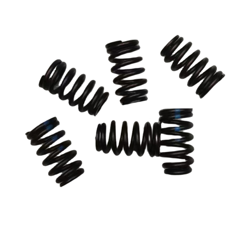 Auto 1.6T Valve Spring For Peugeot 2008 3008 4008 5008 508 308 408 Citroen C3XR C5 C6 OE 9806286080 0952C6